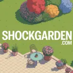 Vue aérienne jardin shockgarden.com avec pelouse fleurs terrasse