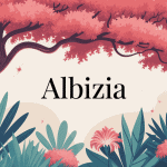 albizia arbre décoratif à fleurs plumeuses roses