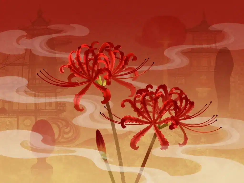 symbolique lycoris rouge culture asiatique