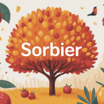 Illustration sorbier élégant baies rouges feuillage léger