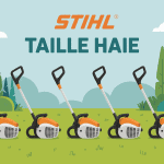 Illustration taille haie Stihl différents modèles sur pelouse