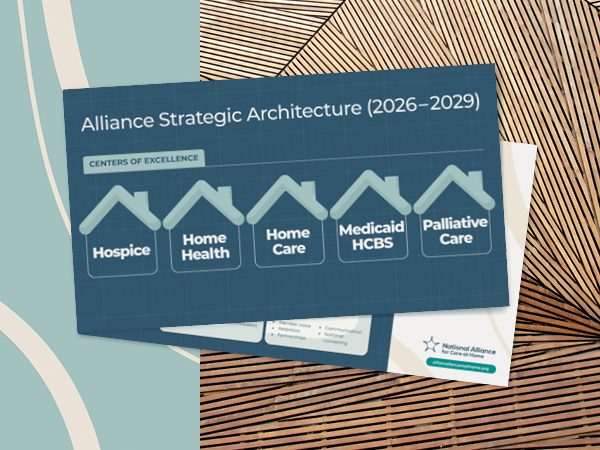 Strategic architecture chart for care centers including hospice and home health.