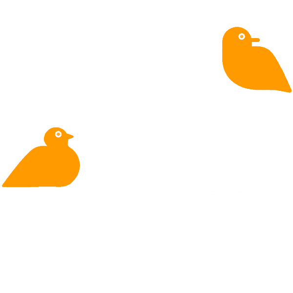 A pair of orange birds sitting on a white metal park bench.