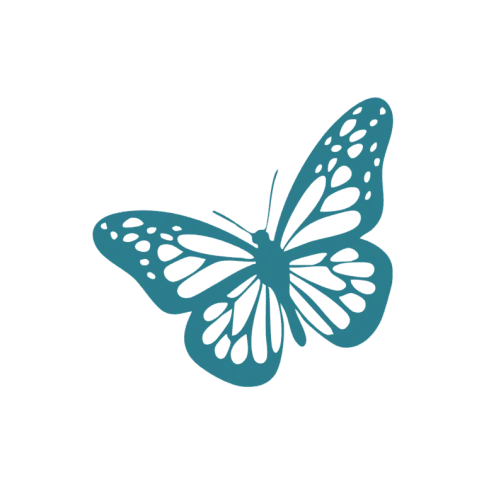 Contact Altagracia conflict resolution consultant