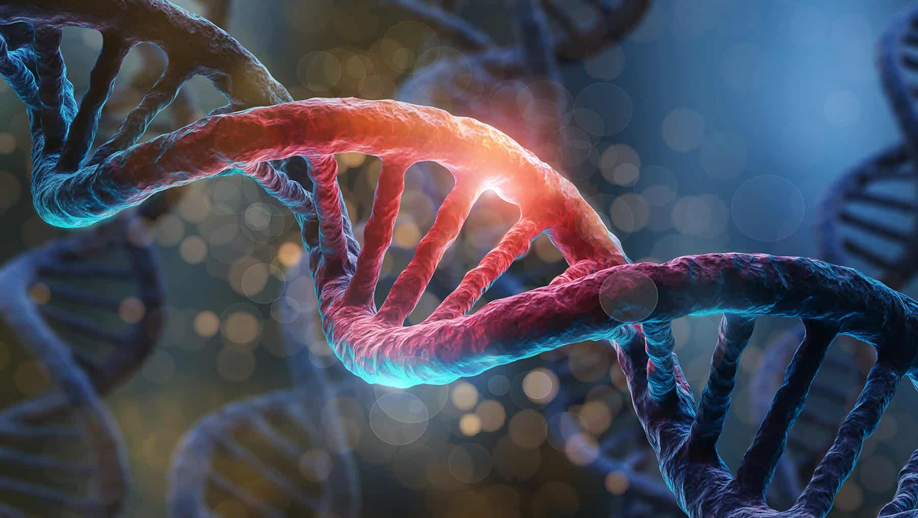 Epigenética y memoria: cómo reprogramar tu cerebro sin tocar tu ADN