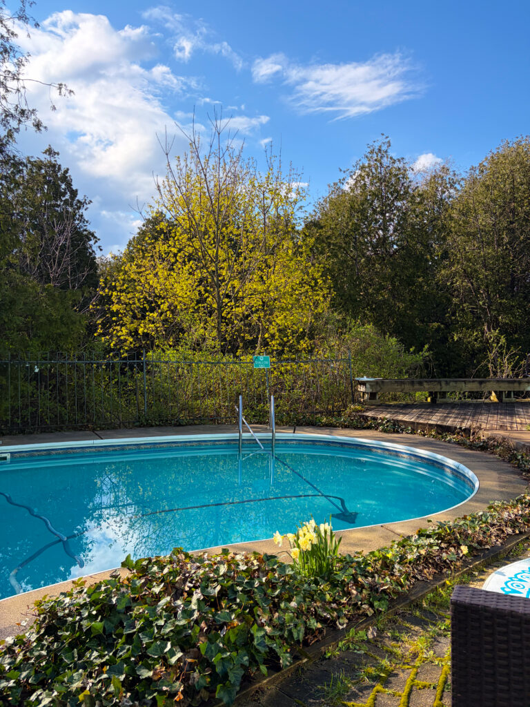 Poolside view with a blue swimming pool, ivy along the edge, a wooden deck on the right, and trees against a bright sky.