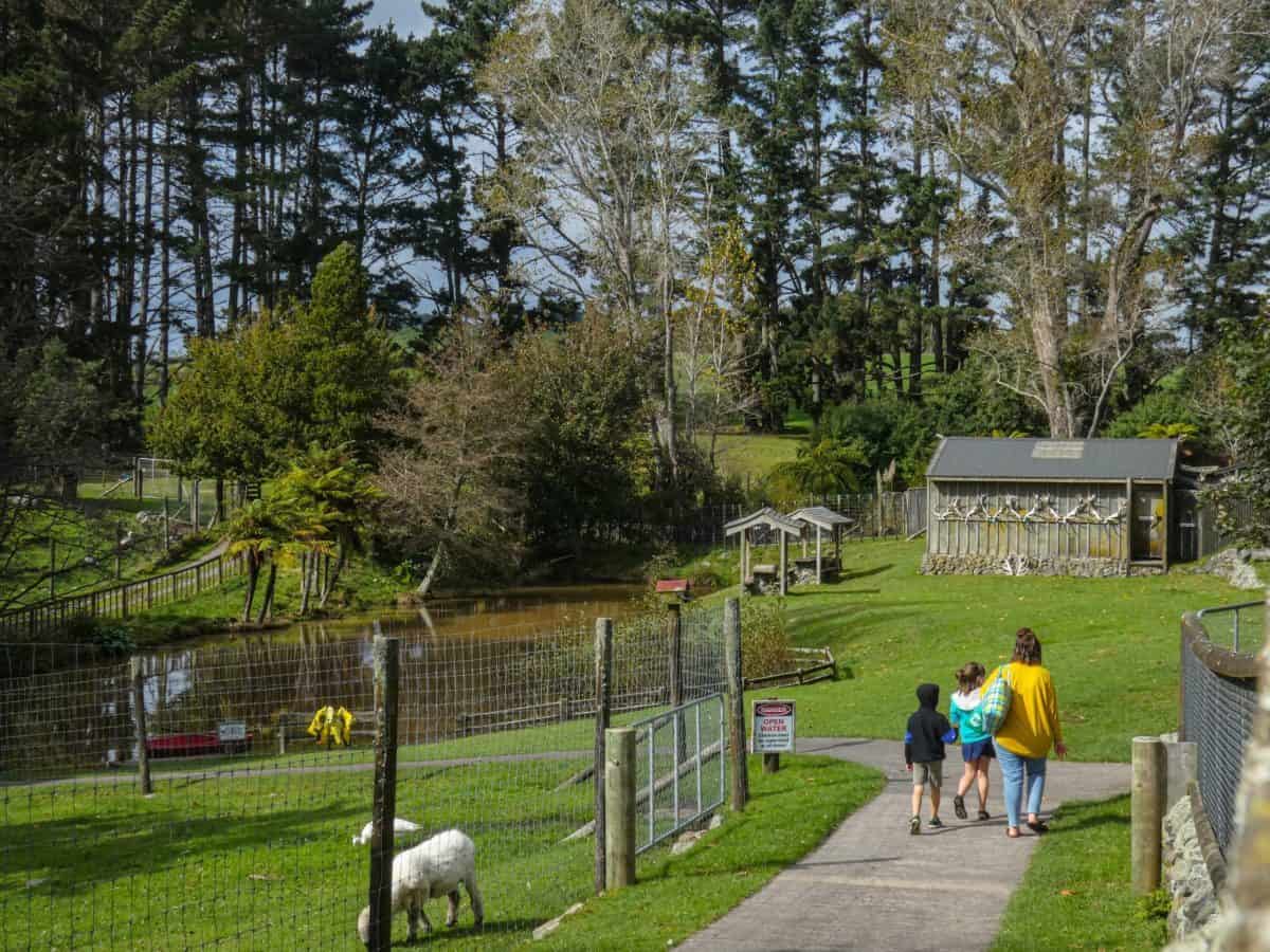 Colourful American cars at Americarna festival in New Zealand, showcasing vintage automotive culture.