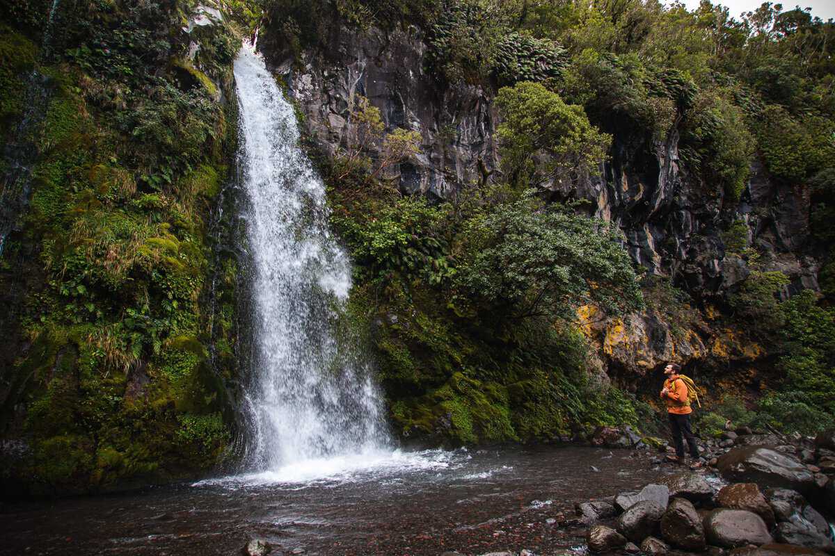 Serene waterfall in lush New Zealand rainforest with hiker exploring nature's beauty.