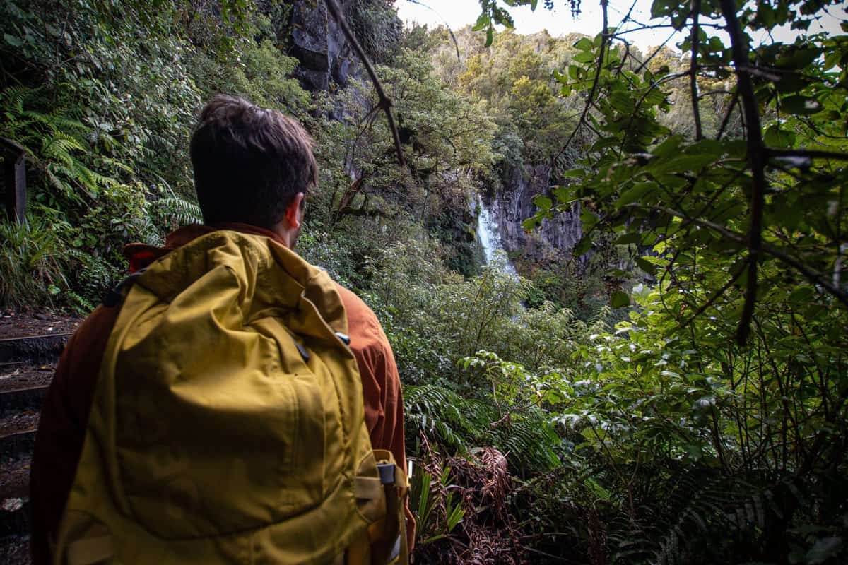 Person exploring rainforest with waterfall in background, adventure travel in New Zealand.