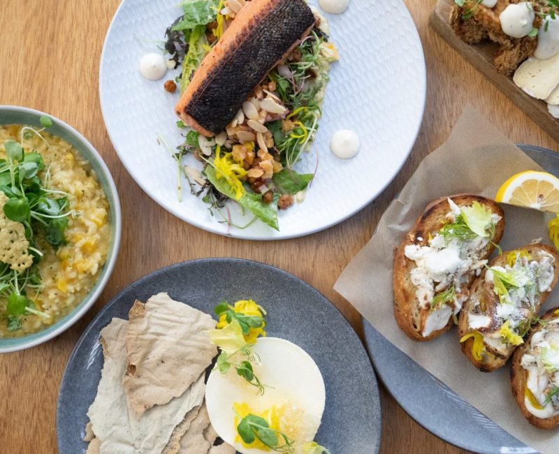 Delectable gourmet dishes featuring fresh salads, smoked salmon, cheese platter, and artisanal bruschetta at Americarna culinary event.