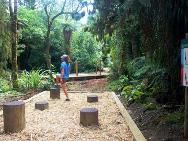 FitnessTrail670 Unique outdoor adventure course in lush rainforest, New Zealand.