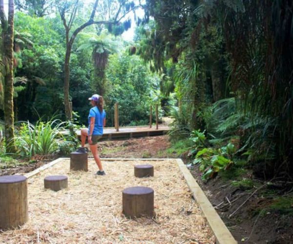 Unique outdoor adventure course in lush rainforest, New Zealand.
