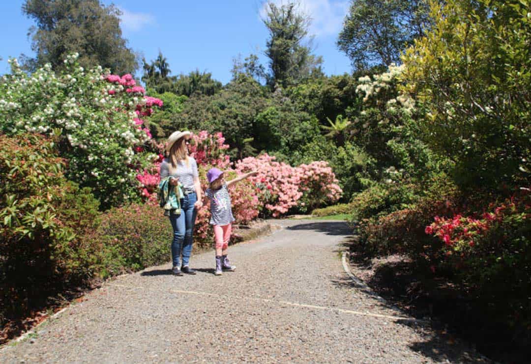 Colorful garden walk with woman and child enjoying spring blooms in Auckland, New Zealand.
