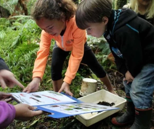 Children discovering insects and plants in a lush forest environment.