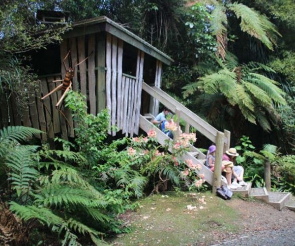 A vintage wooden treehouse in lush greenery with visitors sitting on stairs.