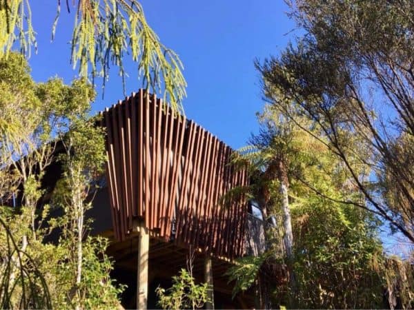 family-hut-exterior Modern architectural treehouse nestled among tall trees in lush New Zealand forest.