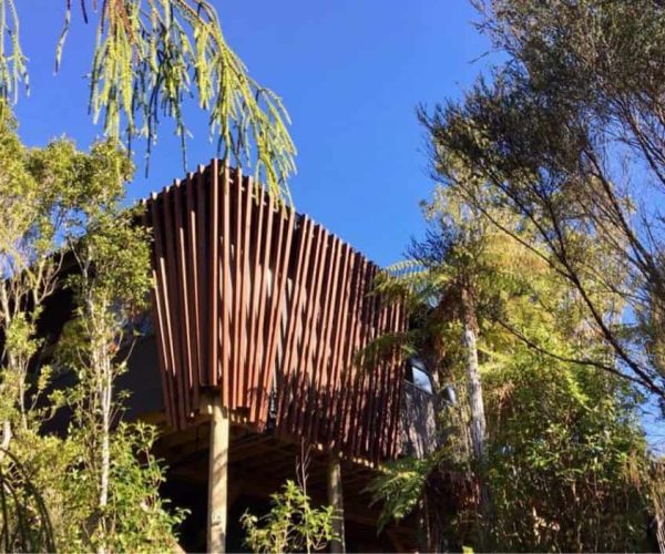 Modern architectural treehouse nestled among tall trees in lush New Zealand forest.