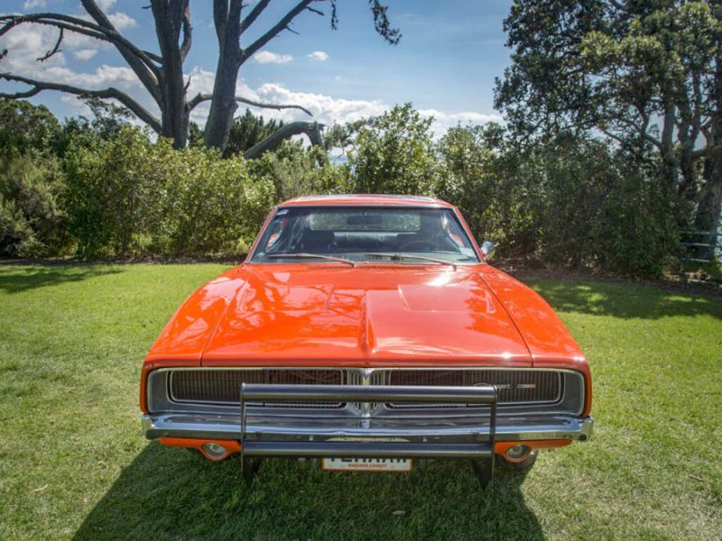 Bright orange vintage muscle car showcased on lush green grass with trees and blue sky background.