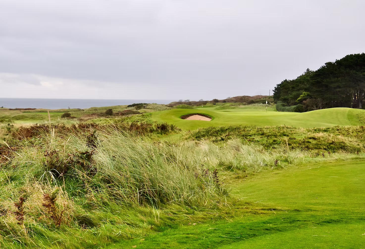 golf course reviews
