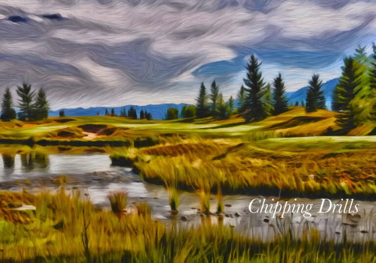 a landscape with a river and trees