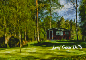 a house in the woods