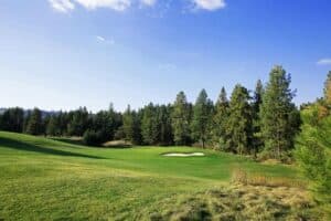 Lush green golf course with trees.