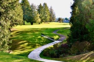 Lush green golf course with pathway