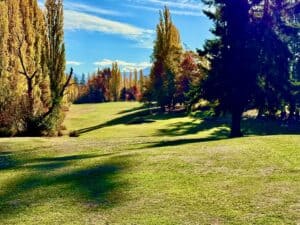 Lush green landscape with autumn colors.