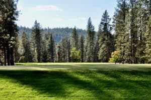Lush green golf course surrounded by trees