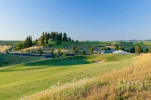 Lush green golf course landscape
