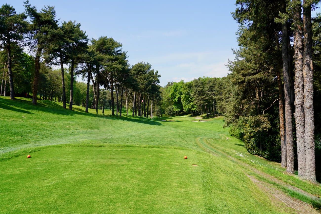 Scenic golf course with lush green fairways and tall trees under a blue sky.