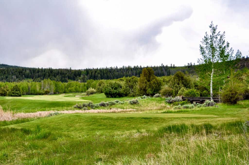 Scenic view of a lush green golf course with trees and cloudy sky.