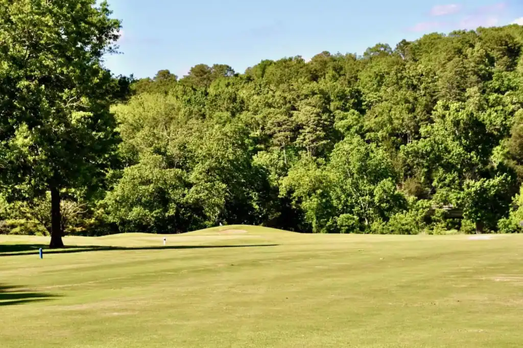 Bella Vista Country Club Golf