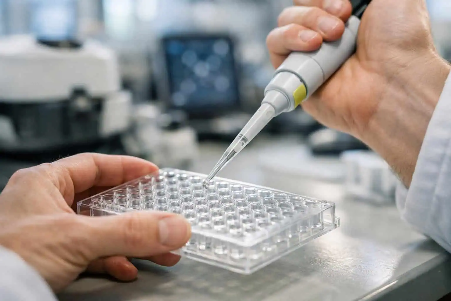Researcher pipetting samples in a laboratory setting, demonstrating experimental considerations in how peptides influence cellular signaling pathways in research.