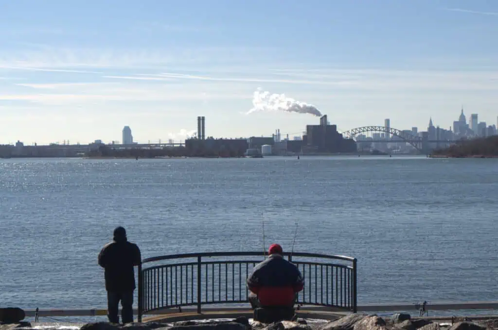 Two people standing by a railing looking out over the water, with the Manhattan skyline and Statue of Liberty in the distance on a clear day.