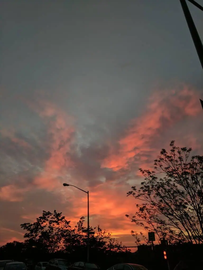 Dramatic pink and orange clouds streaking across the sky at sunset, framed by silhouettes of trees and a streetlight.