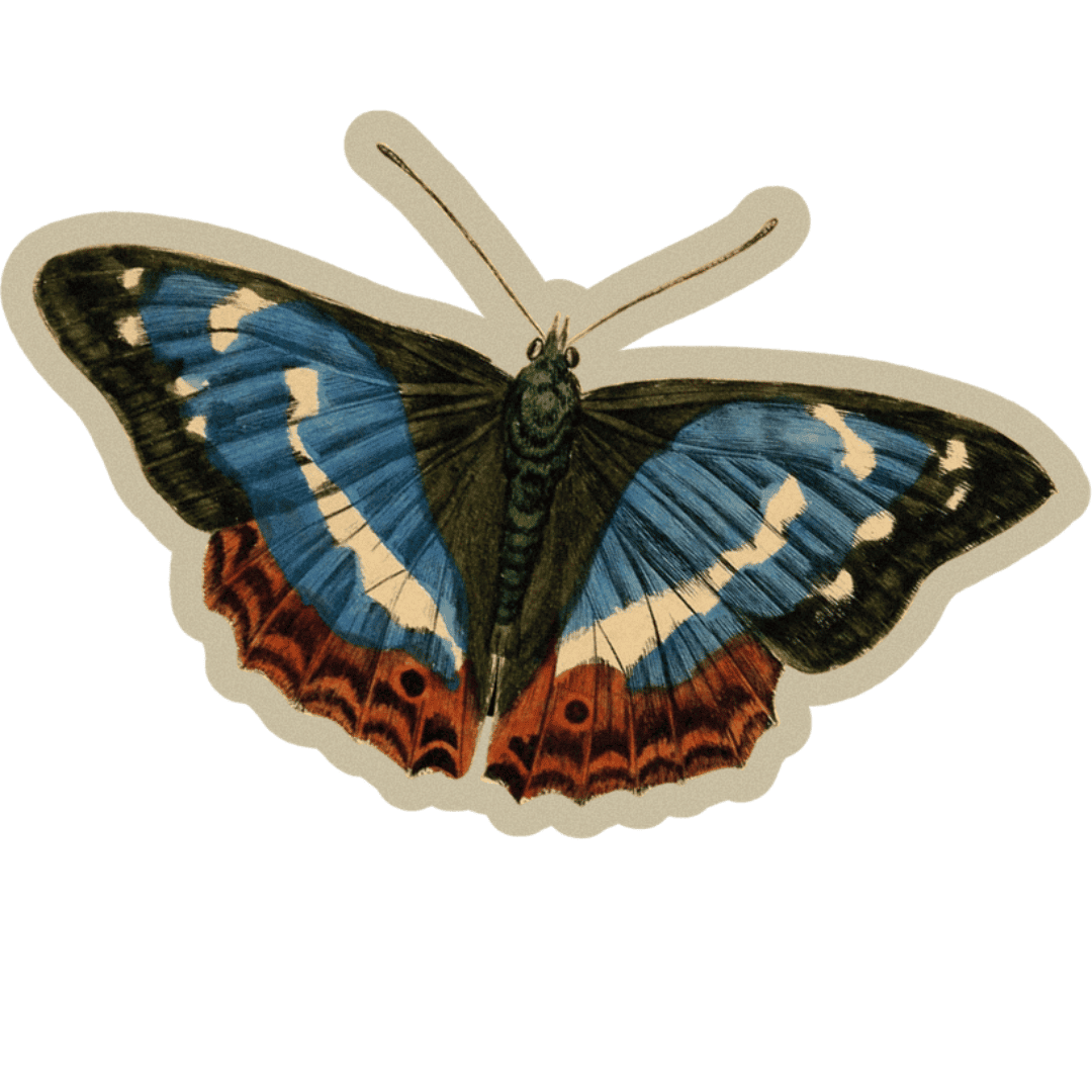 The Real Story Behind Donor Retention: What the Data Tells Us—and What We Can Do About It