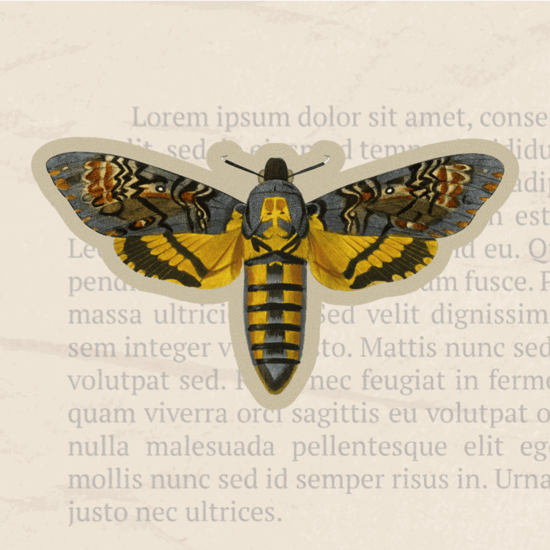 Understanding Donors’ Motivation to Give