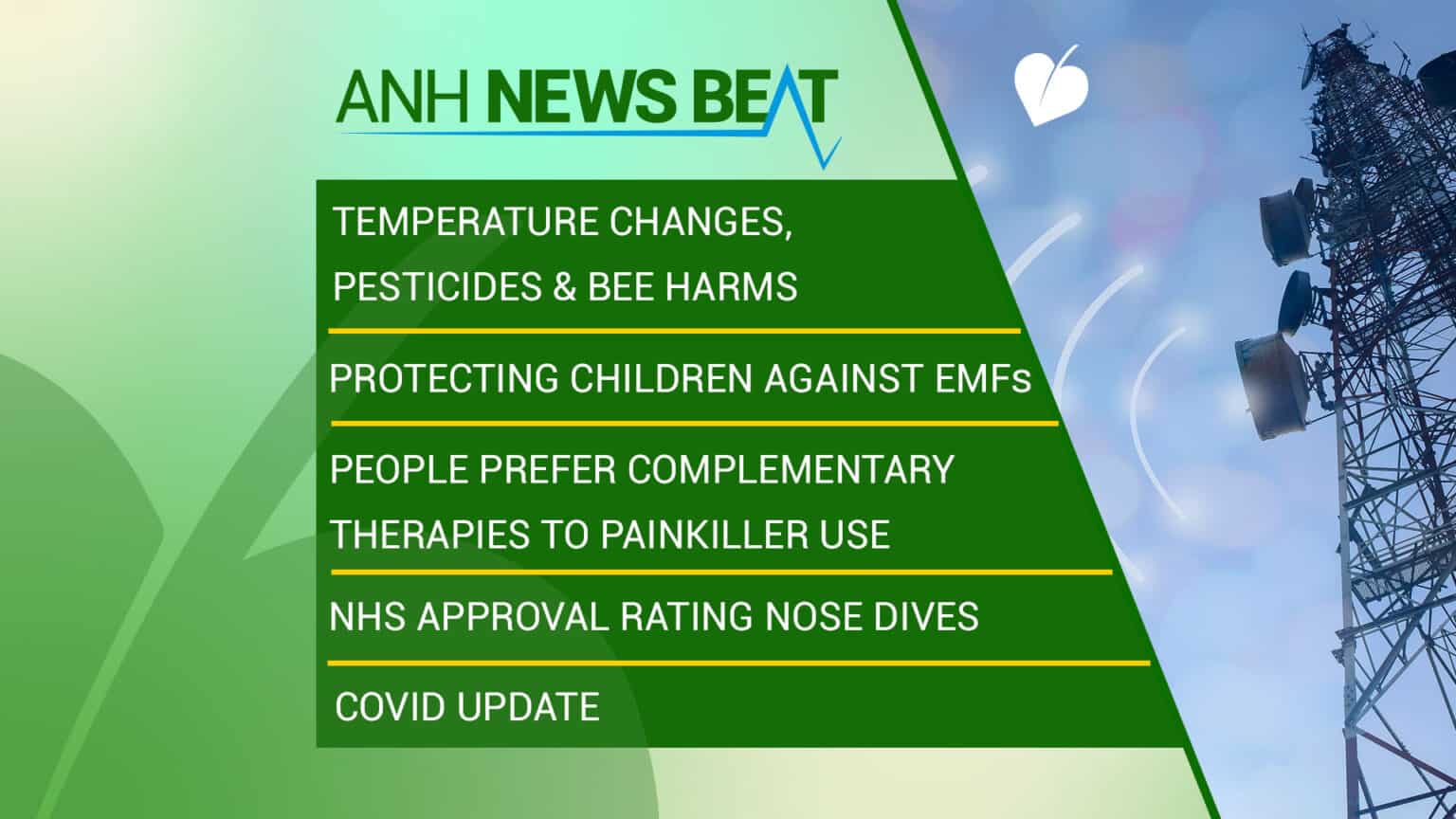 ANH News Beat (week 13/2023) 669a94f303e60.jpeg