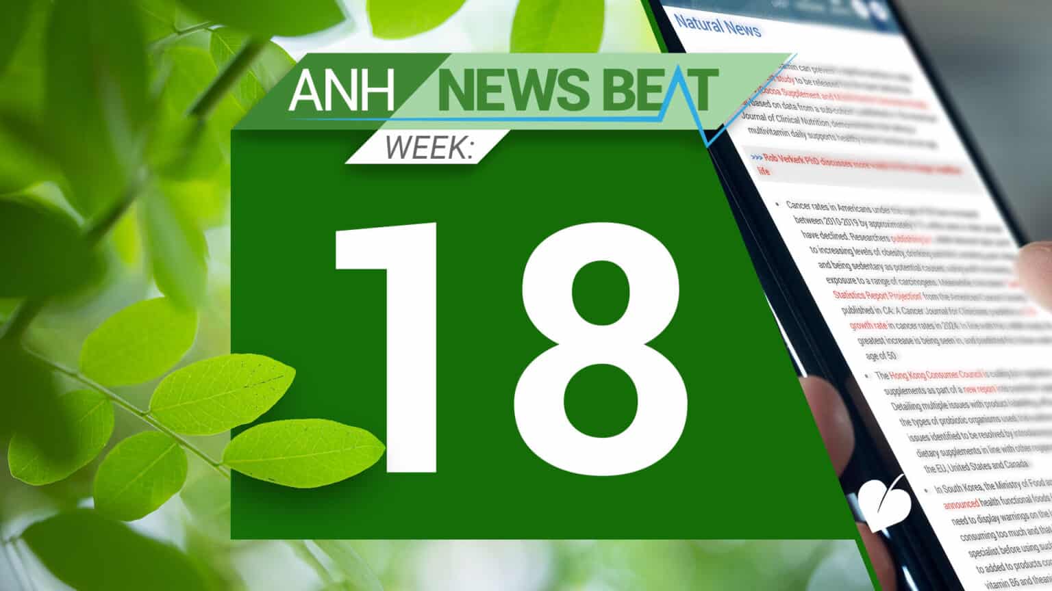 ANH News Beat (week 18/2024) 669a81b3ec3a8.jpeg