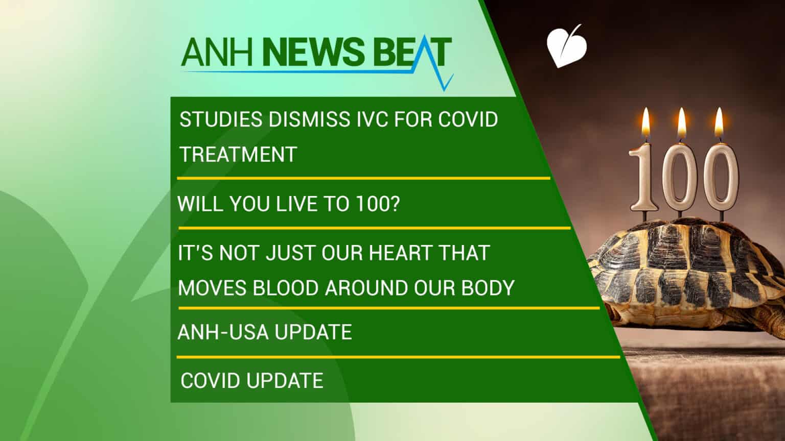 ANH News Beat (week 44/2023) 669a84d090456.jpeg