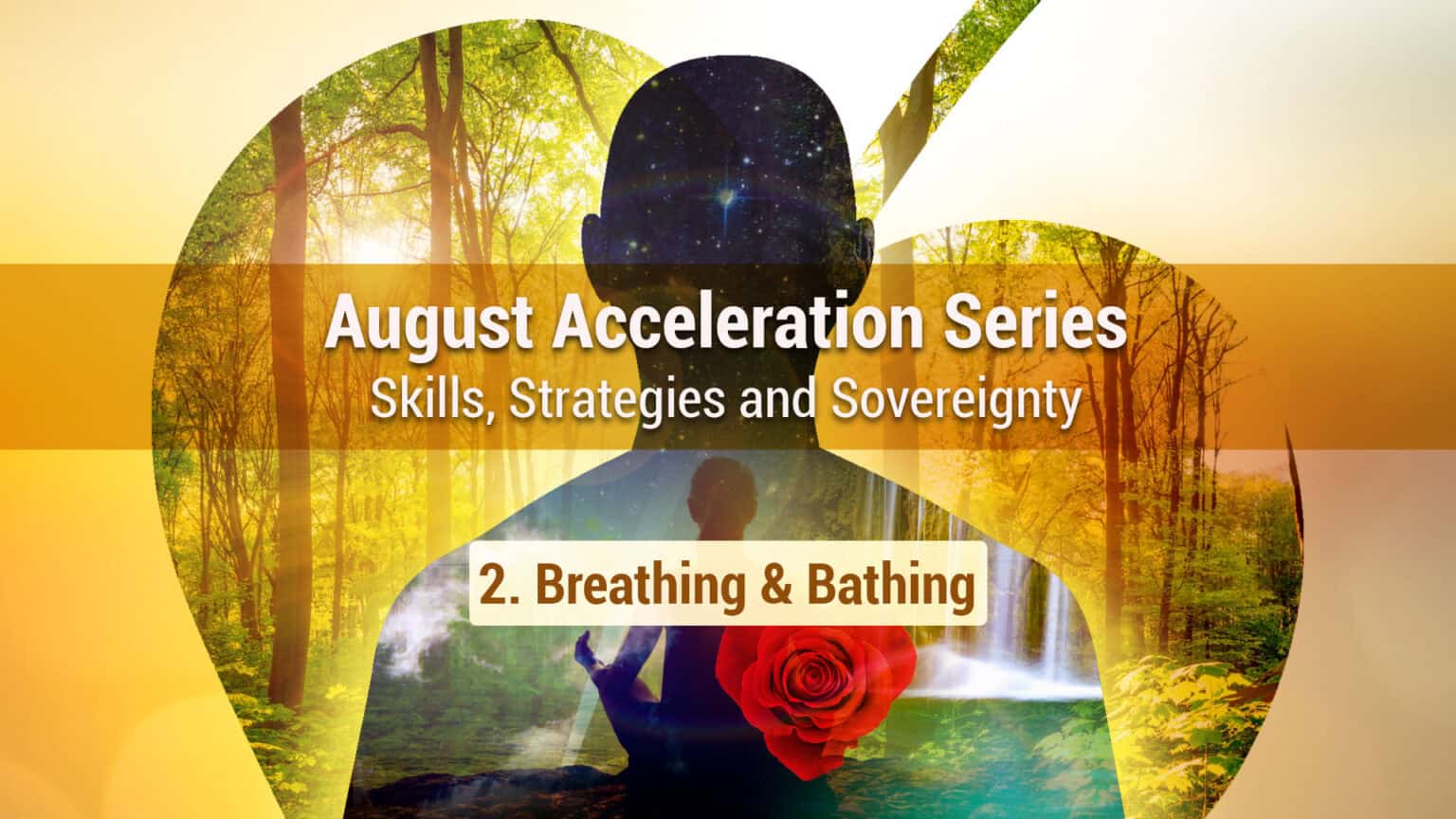 August Acceleration: Sovereign breath and forest bathing 669b6b2e50e0e.jpeg