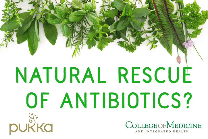 Can natural medicine come to the rescue of antibiotics? 669b92d027409.png