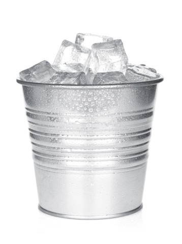 Challenging the thinking behind the Ice Bucket Challenge 669bc1dfdfc80.jpeg