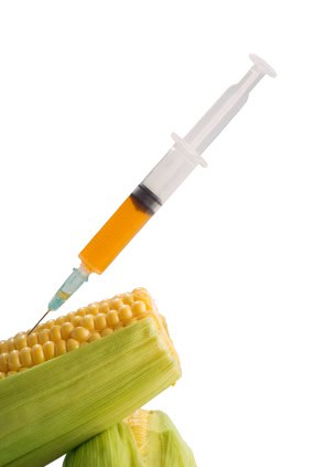 EU clearing the way for GM 669bd780f3da2.jpeg