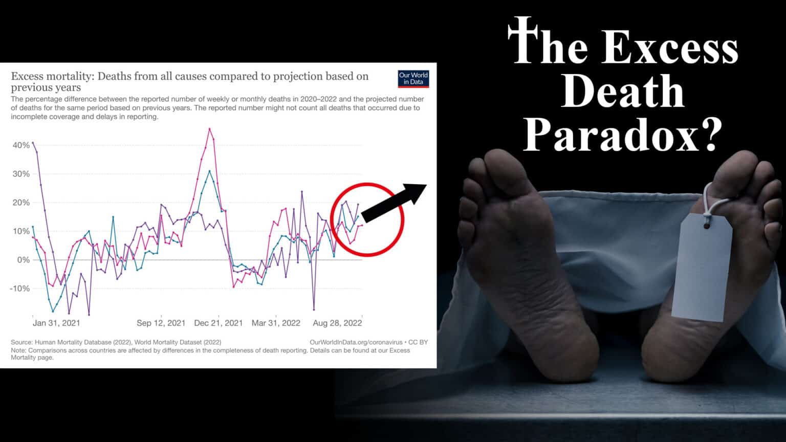 Feature: People are dying unexpectedly – why the silence? 669b0887f30de.jpeg