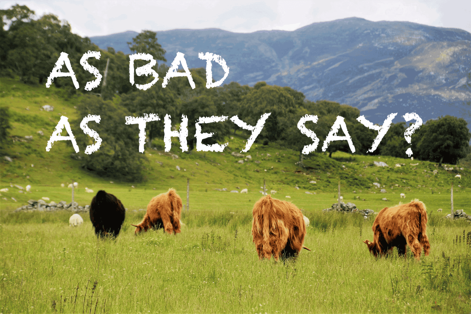 Feature: The red meat witch hunt exposed 669b5ecb71e59.png