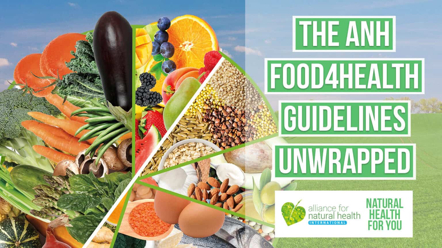 Food4Health plate unwrapped 669b8c2b62b92.jpeg