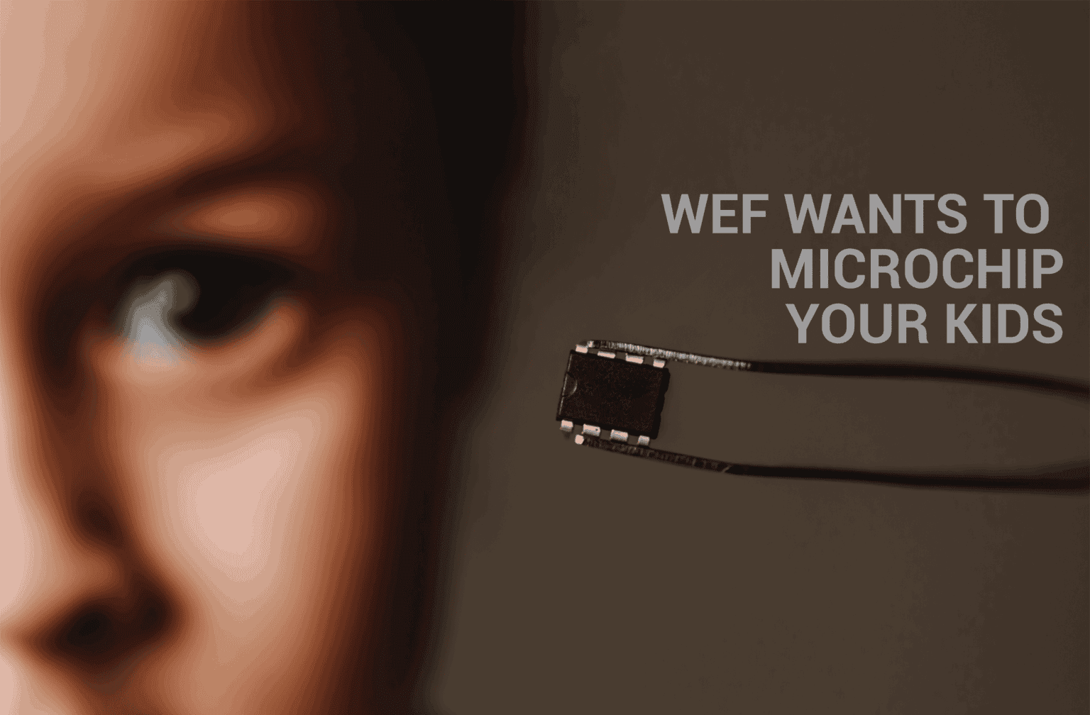 Guest article: The Next Step to Transhumanism 669b09387c772.png