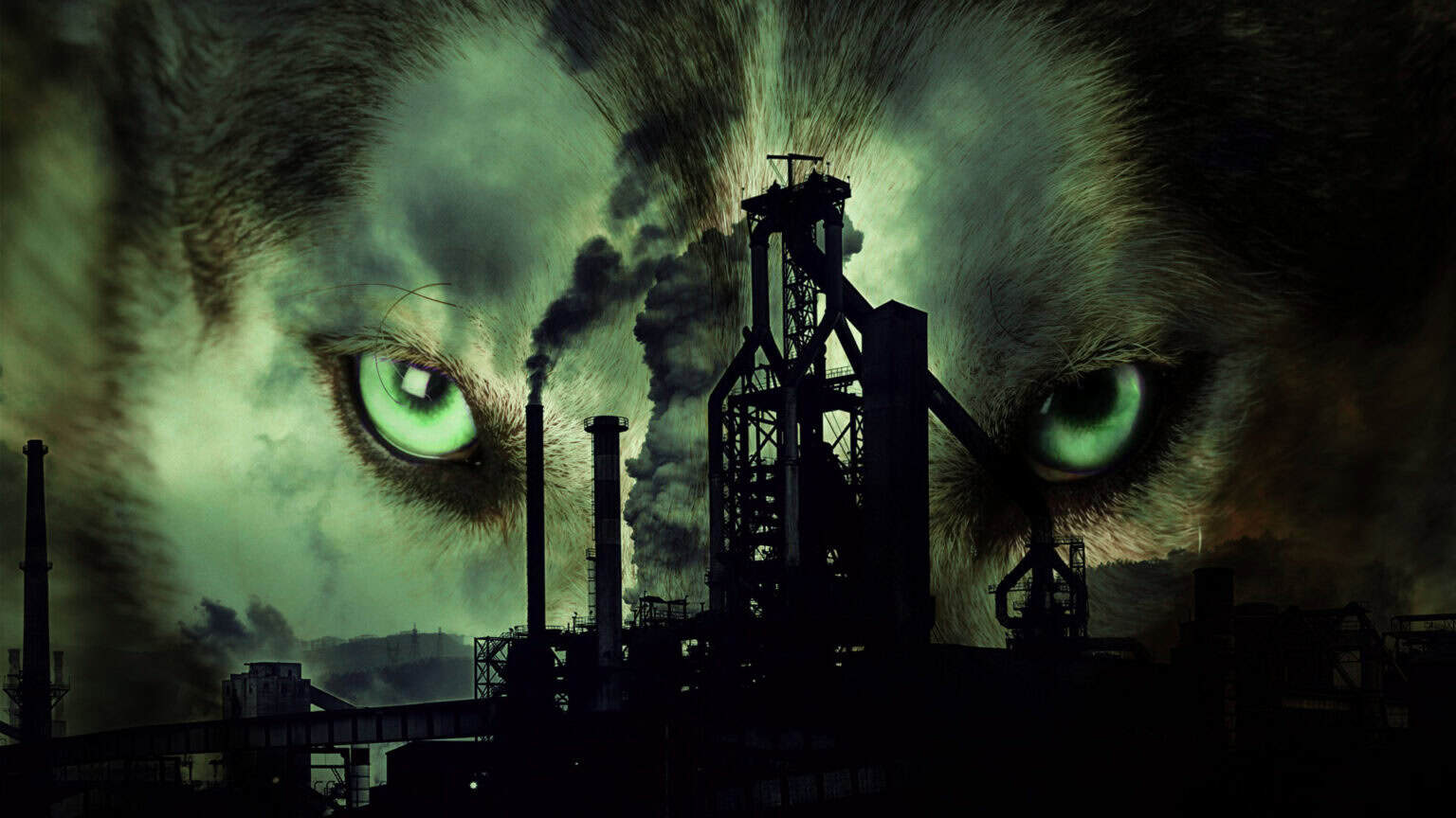 Guest feature: Beware of the grey industrial wolf in ‘green’ fleece 669b5dc7f0923.jpeg